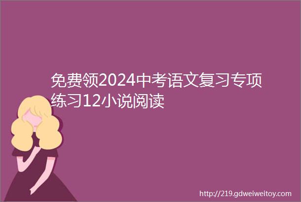 免费领2024中考语文复习专项练习12小说阅读